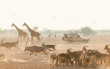 Tour Image
